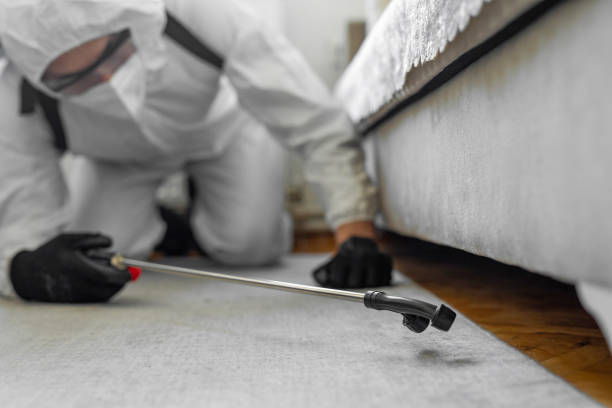 Professional Termite Control technician working in Park Forest, IL