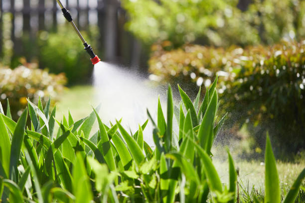 24/7 Emergency Termite Control experts in Park Forest, IL