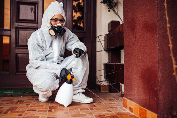 Reliable Termite Control contractor in Park Forest, IL by Nex Pest Control