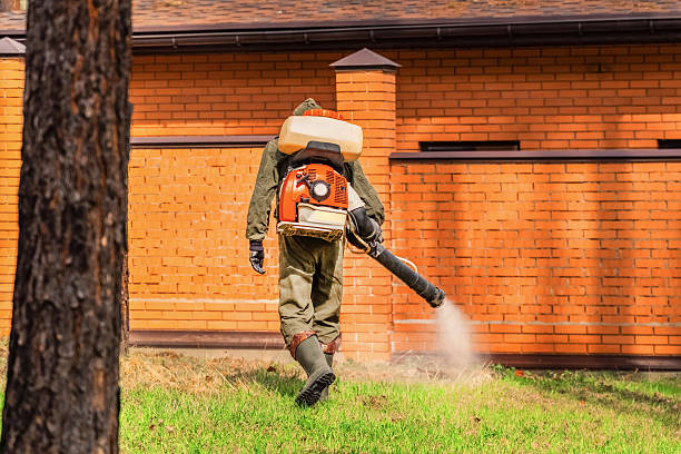 Top rated local Termite Control specialists in Park Forest, IL